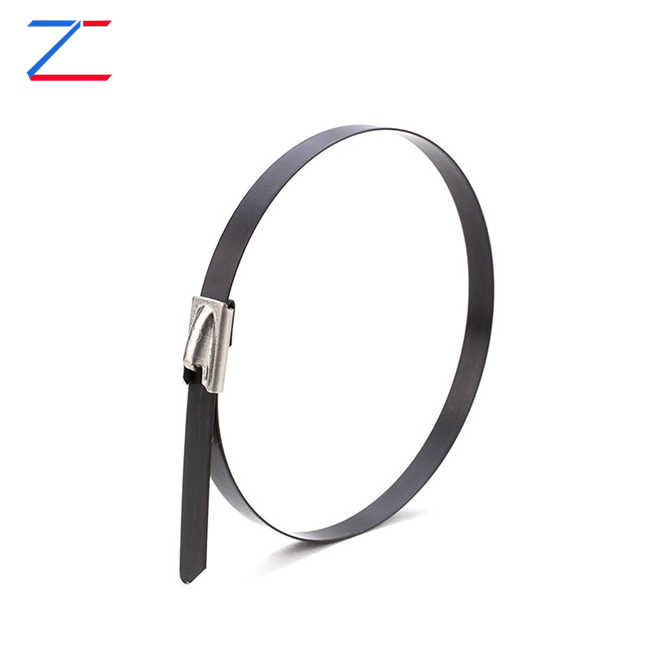 Proč si vybrat stahovací pásky z nerezové oceli s povlakem?